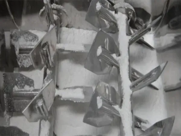 Double-Shaft Paddle Mixer